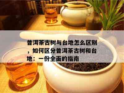 普洱茶古树与台地怎么区别，如何区分普洱茶古树和台地：一份全面的指南