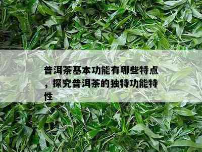 普洱茶基本功能有哪些特点，探究普洱茶的独特功能特性