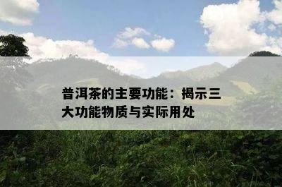 普洱茶的主要功能：揭示三大功能物质与实际用处