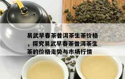 易武早春茶普洱茶生茶价格，探究易武早春茶普洱茶生茶的价格走势与市场行情