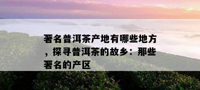 著名普洱茶产地有哪些地方，探寻普洱茶的故乡：那些著名的产区