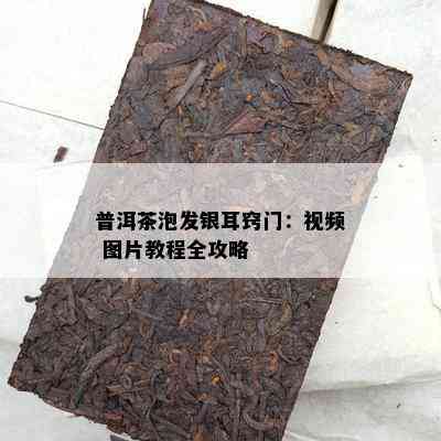 普洱茶泡发银耳窍门：视频 图片教程全攻略