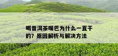 喝普洱茶嘴巴为什么一直干的？原因解析与解决方法