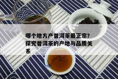 哪个地方产普洱茶最正宗？探究普洱茶的产地与品质关系