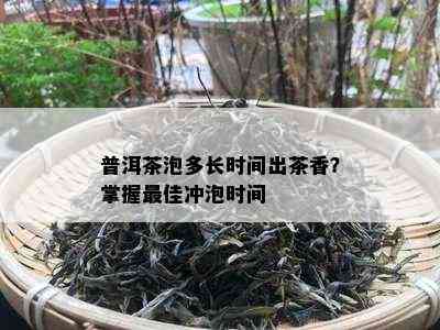 普洱茶泡多长时间出茶香？掌握更佳冲泡时间