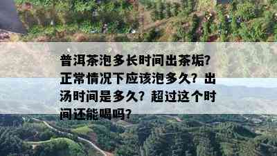 普洱茶泡多长时间出茶垢？正常情况下应该泡多久？出汤时间是多久？超过这个时间还能喝吗？