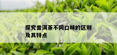 探究普洱茶不同口味的区别及其特点