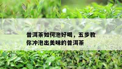 普洱茶如何泡好喝，五步教你冲泡出美味的普洱茶