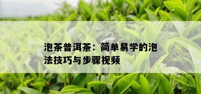 泡茶普洱茶：简单易学的泡法技巧与步骤视频