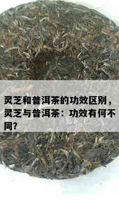 灵芝和普洱茶的功效区别，灵芝与普洱茶：功效有何不同？