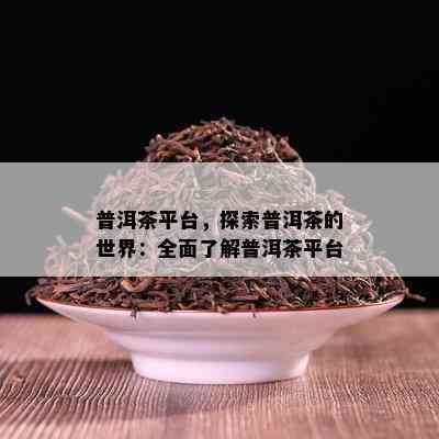 普洱茶平台，探索普洱茶的世界：全面了解普洱茶平台