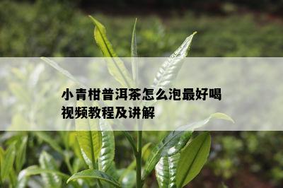 小青柑普洱茶怎么泡更好喝视频教程及讲解