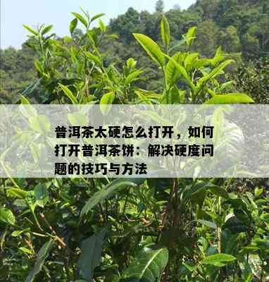 普洱茶太硬怎么打开，如何打开普洱茶饼：解决硬度问题的技巧与方法