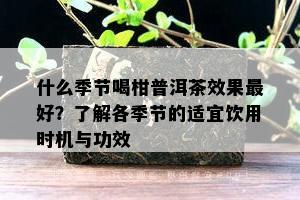 什么季节喝柑普洱茶效果更好？了解各季节的适宜饮用时机与功效