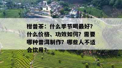 柑普茶：什么季节喝更好？什么价格、功效如何？需要哪种普洱制作？哪些人不适合饮用？