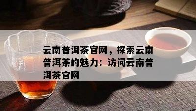 云南普洱茶官网，探索云南普洱茶的魅力：访问云南普洱茶官网