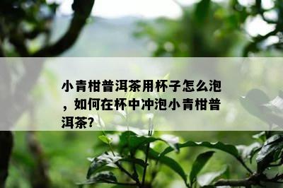 小青柑普洱茶用杯子怎么泡，如何在杯中冲泡小青柑普洱茶？