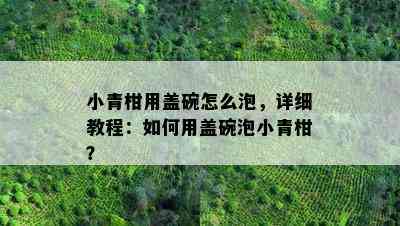 小青柑用盖碗怎么泡，详细教程：如何用盖碗泡小青柑？