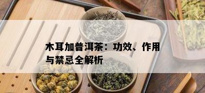 木耳加普洱茶：功效、作用与禁忌全解析