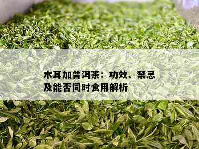 木耳加普洱茶：功效、禁忌及能否同时食用解析