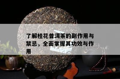 了解桂花普洱茶的副作用与禁忌，全面掌握其功效与作用