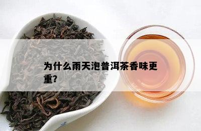 为什么雨天泡普洱茶香味更重？