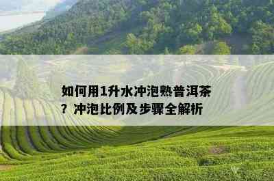 如何用1升水冲泡熟普洱茶？冲泡比例及步骤全解析