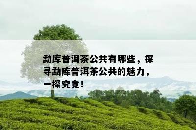 勐库普洱茶公共有哪些，探寻勐库普洱茶公共的魅力，一探究竟！