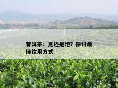 普洱茶：煮还是泡？探讨更佳饮用方式