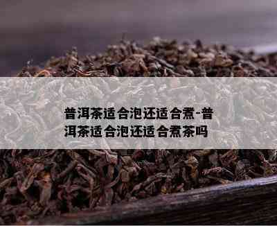 普洱茶适合泡还适合煮-普洱茶适合泡还适合煮茶吗