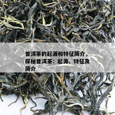 普洱茶的起源和特征简介，探秘普洱茶：起源、特征及简介