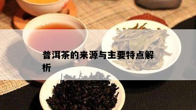 普洱茶的来源与主要特点解析