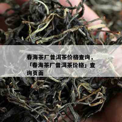 春海茶厂普洱茶价格查询，「春海茶厂普洱茶价格」查询页面