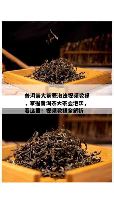 普洱茶大茶壶泡法视频教程，掌握普洱茶大茶壶泡法，看这里！视频教程全解析