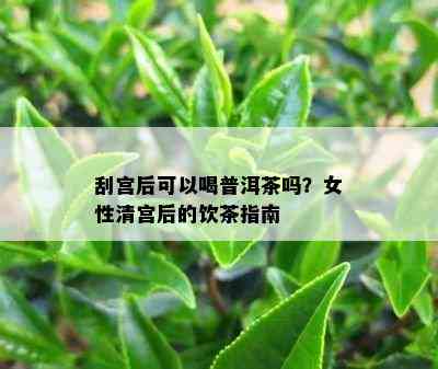 刮宫后可以喝普洱茶吗？女性清宫后的饮茶指南