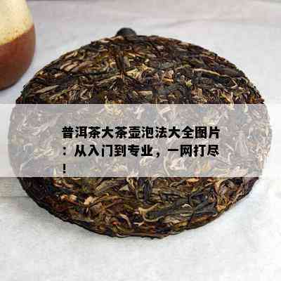 普洱茶大茶壶泡法大全图片：从入门到专业，一网打尽！