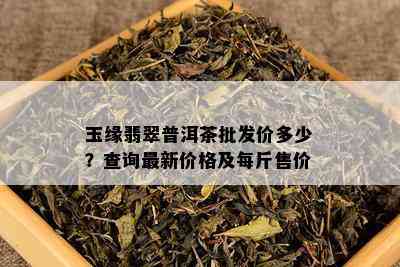 玉缘翡翠普洱茶批发价多少？查询最新价格及每斤售价