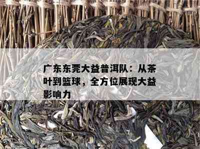 广东东莞大益普洱队：从茶叶到篮球，全方位展现大益影响力