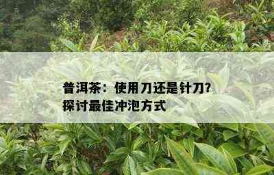 普洱茶：使用刀还是针刀？探讨更佳冲泡方式