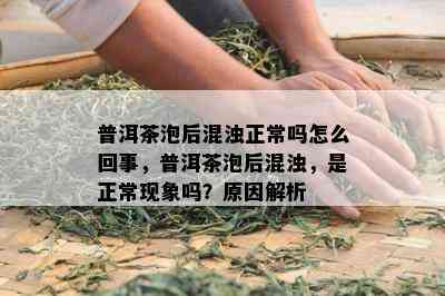 普洱茶泡后混浊正常吗怎么回事，普洱茶泡后混浊，是正常现象吗？原因解析