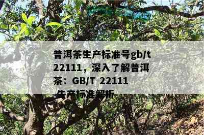 普洱茶生产标准号gb/t22111，深入了解普洱茶：GB/T 22111 生产标准解析