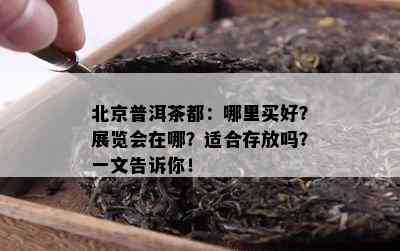 北京普洱茶都：哪里买好？展览会在哪？适合存放吗？一文告诉你！