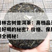 雨林古树普洱茶：高档品还是好喝的秘密？价格、保质期全揭秘！