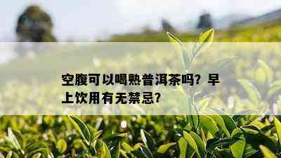 空腹可以喝熟普洱茶吗？早上饮用有无禁忌？