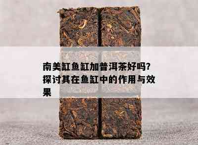 南美缸缸加普洱茶好吗？探讨其在缸中的作用与效果