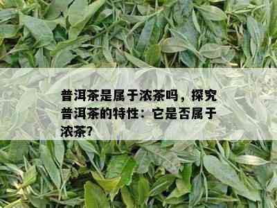 普洱茶是属于浓茶吗，探究普洱茶的特性：它是否属于浓茶？