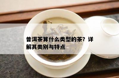 普洱茶算什么类型的茶？详解其类别与特点