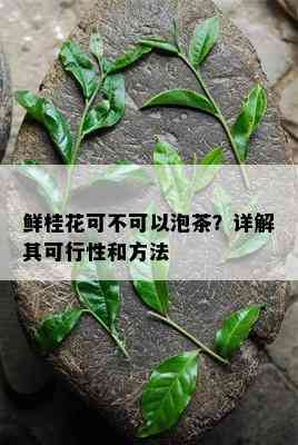 鲜桂花可不可以泡茶？详解其可行性和方法