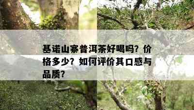 基诺山寨普洱茶好喝吗？价格多少？如何评价其口感与品质？