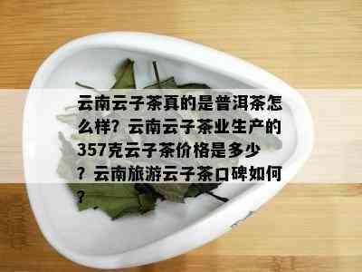 云南云子茶真的是普洱茶怎么样？云南云子茶业生产的357克云子茶价格是多少？云南旅游云子茶口碑如何？